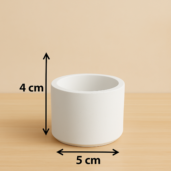 ✨Maceta Redonda Minimalista –
$7.00 c/u (mayoreo desde 25 pzas)