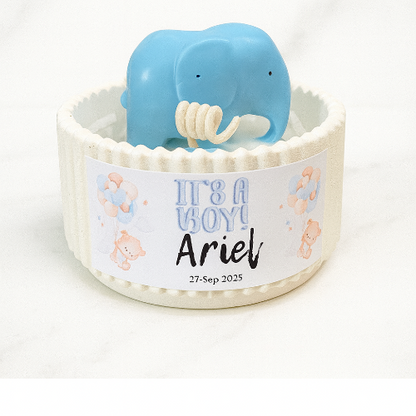 ✨Elefante en Maceta Baby Shower– $70.30 c/u desde 25 pzas