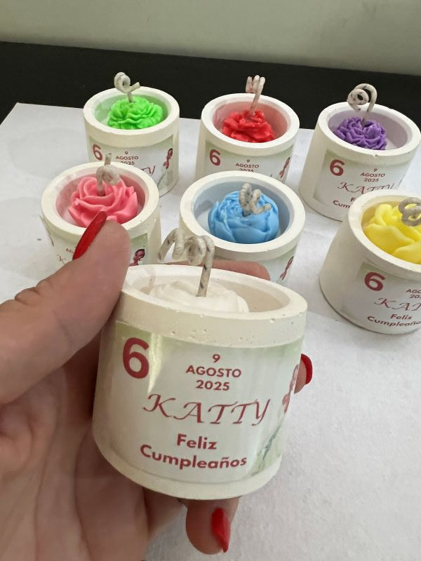 Flor en Maceta de Cemento-Cumpleaños Kids ⭐️⭐️⭐️⭐️⭐️