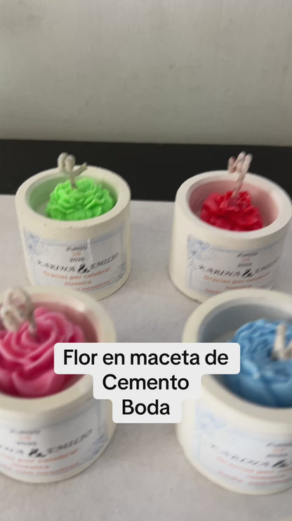 ✨Flor en Maceta de Cemento Boda– $55.10 c/u desde 25 pzas
