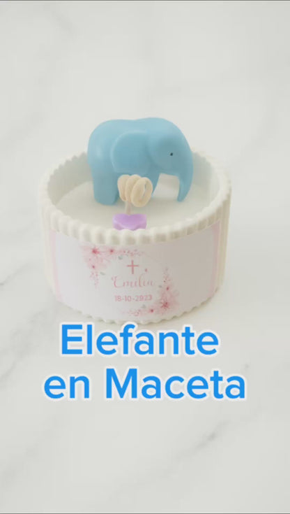 ✨Elefante en Maceta Bautizo– $70.30 c/u desde 25 pzas